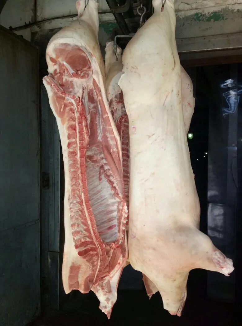 Фотография продукта Свинина в полутушах 2 и 3 кат. зам и охл